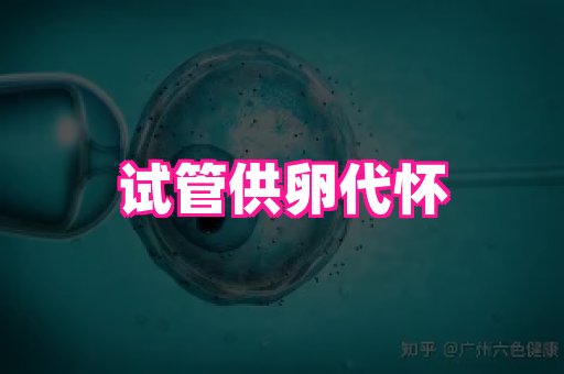 nub孕网 2